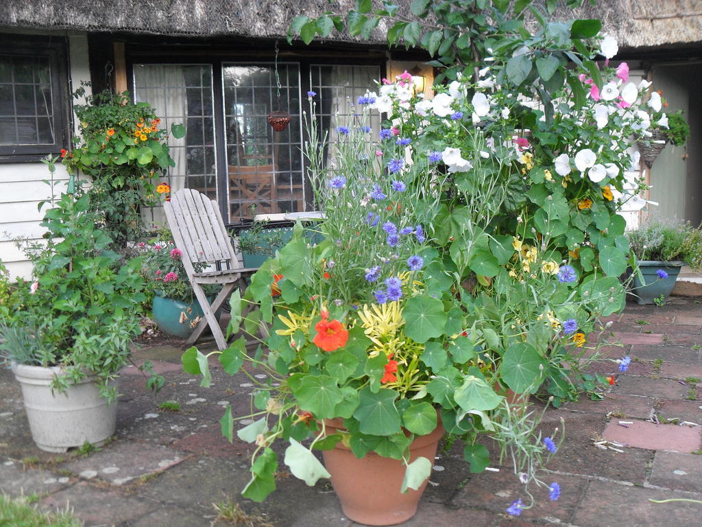 Church Hall Farm Bed And Breakfast Broxted Luaran gambar